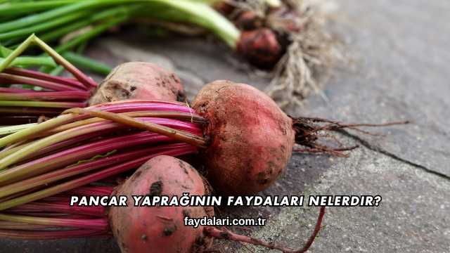 Pancar Yaprağının Faydaları Nelerdir?
