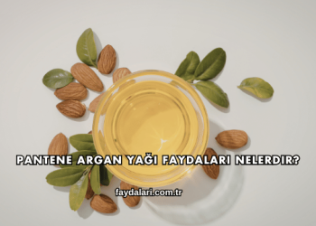 Pantene Argan Yağı Faydaları Nelerdir?