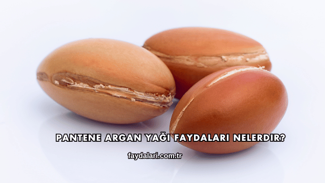 Pantene Argan Yağı Faydaları Nelerdir?