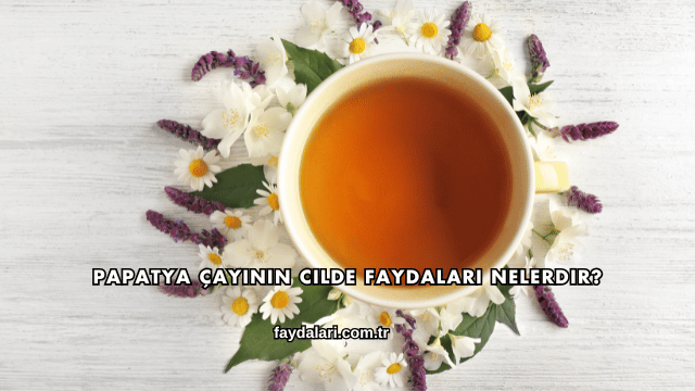 Papatya Çayının Cilde Faydaları Nelerdir?