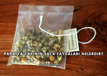 Papatya Çayının Saça Faydaları Nelerdir?