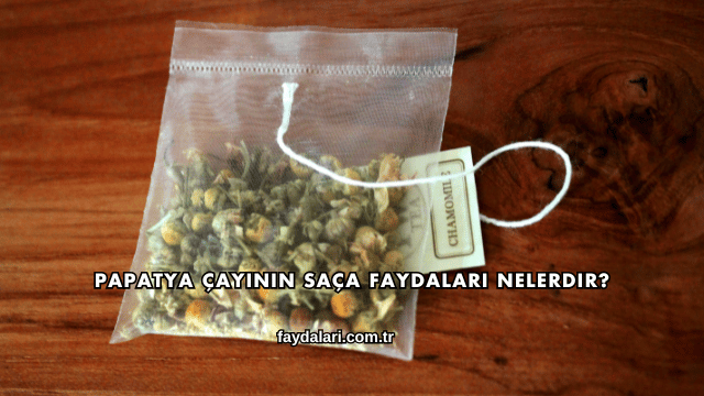 Papatya Çayının Saça Faydaları Nelerdir?