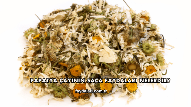 Papatya Çayının Saça Faydaları Nelerdir?