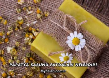 Papatya Sabunu Faydaları Nelerdir?