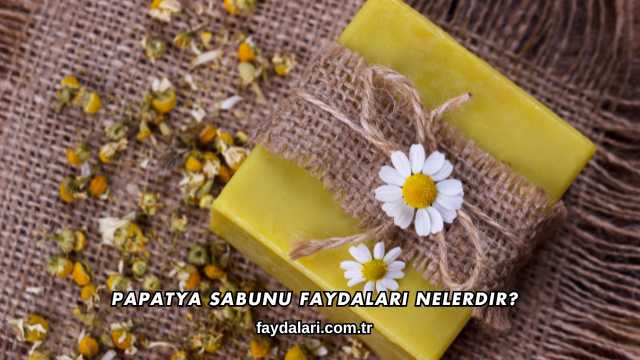 Papatya Sabunu Faydaları Nelerdir?
