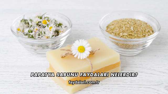 Papatya Sabunu Faydaları Nelerdir?