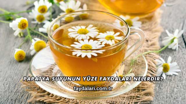 Papatya Suyunun Yüze Faydaları Nelerdir?