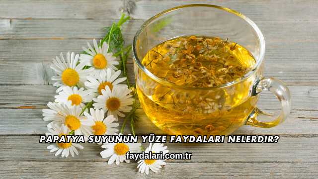 Papatya Suyunun Yüze Faydaları Nelerdir?