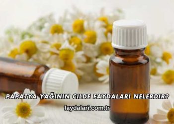 Papatya Yağının Cilde Faydaları Nelerdir?