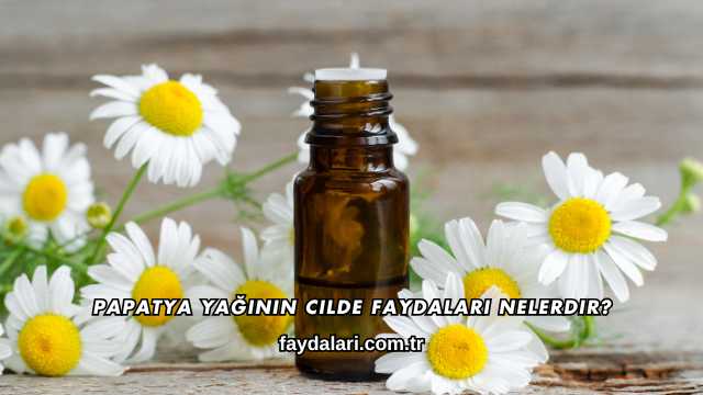Papatya Yağının Cilde Faydaları Nelerdir?