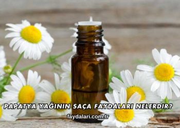 Papatya Yağının Saça Faydaları Nelerdir?