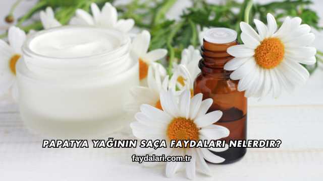 Papatya Yağının Saça Faydaları Nelerdir?
