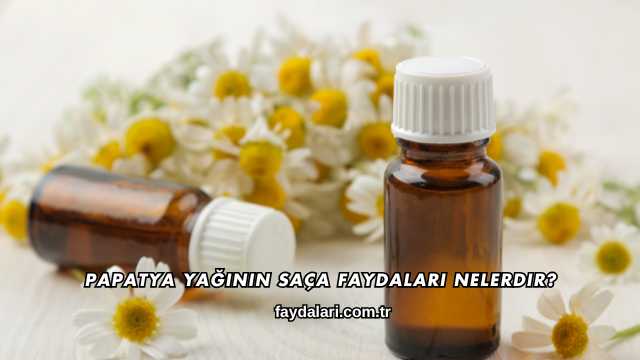 Papatya Yağının Saça Faydaları Nelerdir?