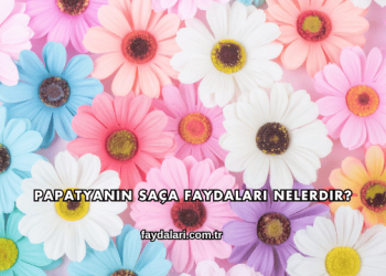 Papatyanın Saça Faydaları Nelerdir?