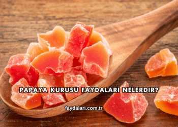 Papaya Kurusu Faydaları Nelerdir?
