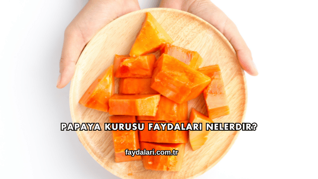 Papaya Kurusu Faydaları Nelerdir?