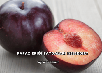 Papaz Eriği Faydaları Nelerdir?