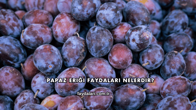 Papaz Eriği Faydaları Nelerdir?