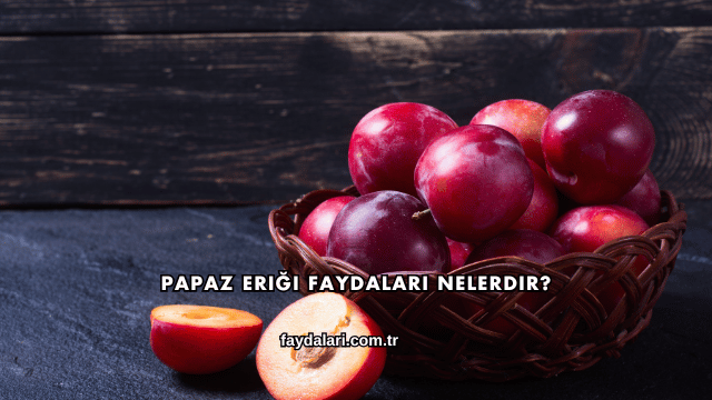 Papaz Eriği Faydaları Nelerdir?