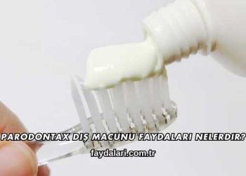 Parodontax Diş Macunu Faydaları Nelerdir?