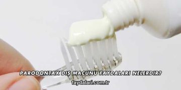 Parodontax Diş Macunu Faydaları Nelerdir?