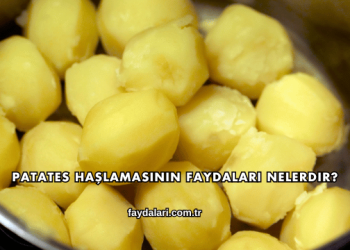 Patates Haşlamasının Faydaları Nelerdir?