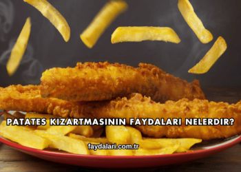 Patates Kızartmasının Faydaları Nelerdir?