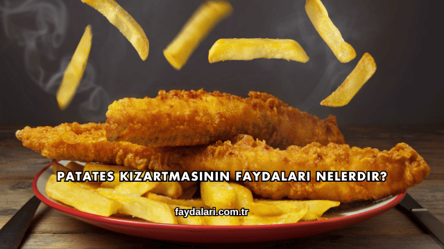 Patates Kızartmasının Faydaları Nelerdir?