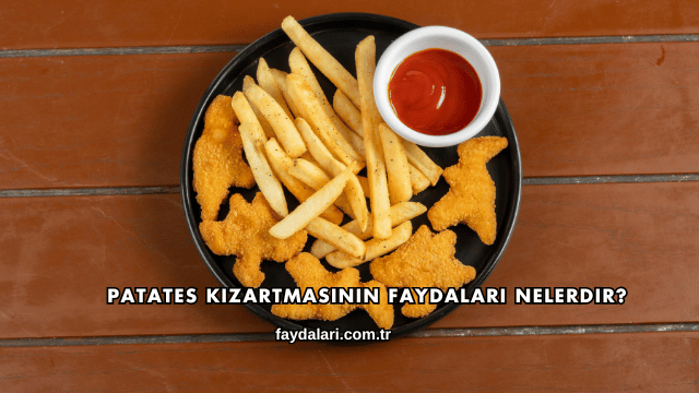 Patates Kızartmasının Faydaları Nelerdir?
