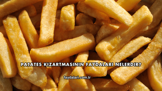 Patates Kızartmasının Faydaları Nelerdir?