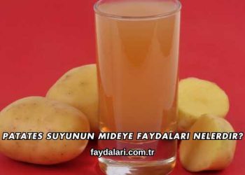 Patates Suyunun Mideye Faydaları Nelerdir?