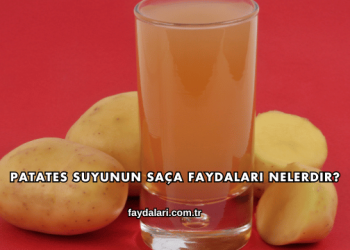 Patates Suyunun Saça Faydaları Nelerdir?