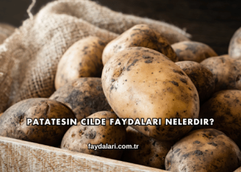 Patatesin Cilde Faydaları Nelerdir?