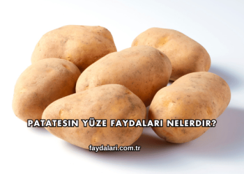 Patatesin Yüze Faydaları Nelerdir?