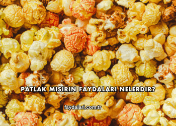 Patlak Mısırın Faydaları Nelerdir?