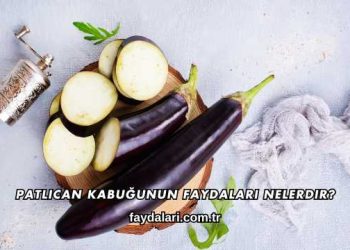 Patlıcan Kabuğunun Faydaları Nelerdir?