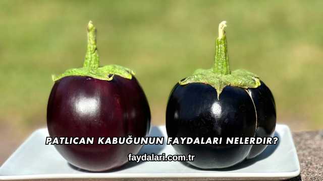Patlıcan Kabuğunun Faydaları Nelerdir?