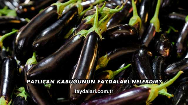 Patlıcan Kabuğunun Faydaları Nelerdir?