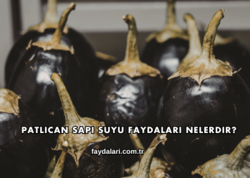 Patlıcan Sapı Suyu Faydaları Nelerdir?