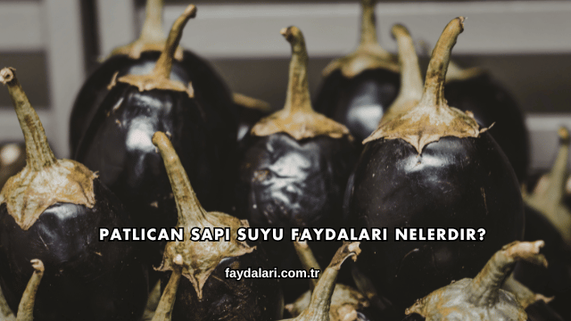 Patlıcan Sapı Suyu Faydaları Nelerdir?