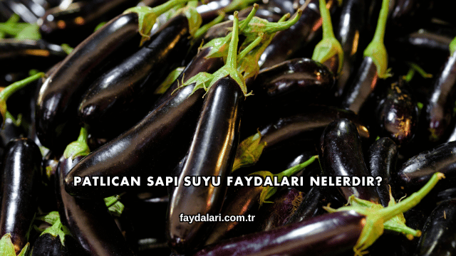 Patlıcan Sapı Suyu Faydaları Nelerdir?