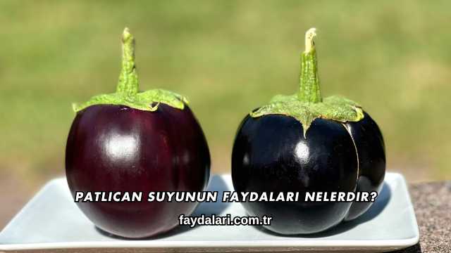 Patlıcan Suyunun Faydaları Nelerdir?