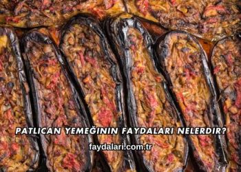 Patlıcan Yemeğinin Faydaları Nelerdir