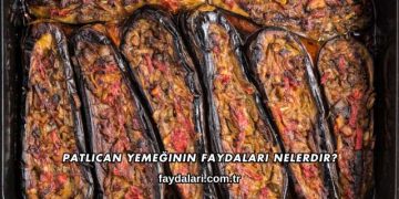 Patlıcan Yemeğinin Faydaları Nelerdir