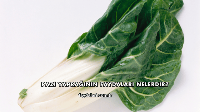 Pazı Yaprağının Faydaları Nelerdir?