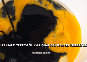 Pekmez Tereyağı Karışımı Faydaları Nelerdir?