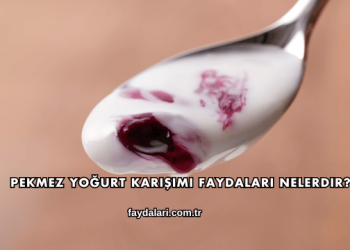 Pekmez Yoğurt Karışımı Faydaları Nelerdir?