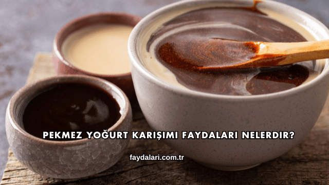 Pekmez Yoğurt Karışımı Faydaları Nelerdir?
