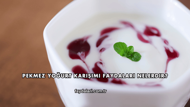 Pekmez Yoğurt Karışımı Faydaları Nelerdir?