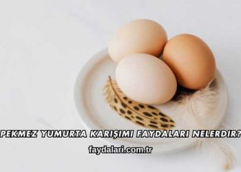 Pekmez Yumurta Karışımı Faydaları Nelerdir?